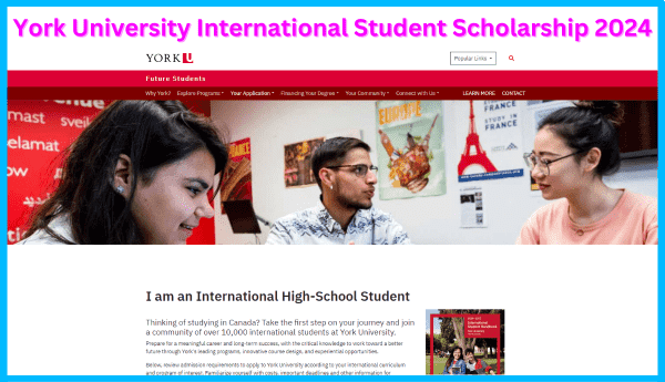 York University International Student Scholarship 2024